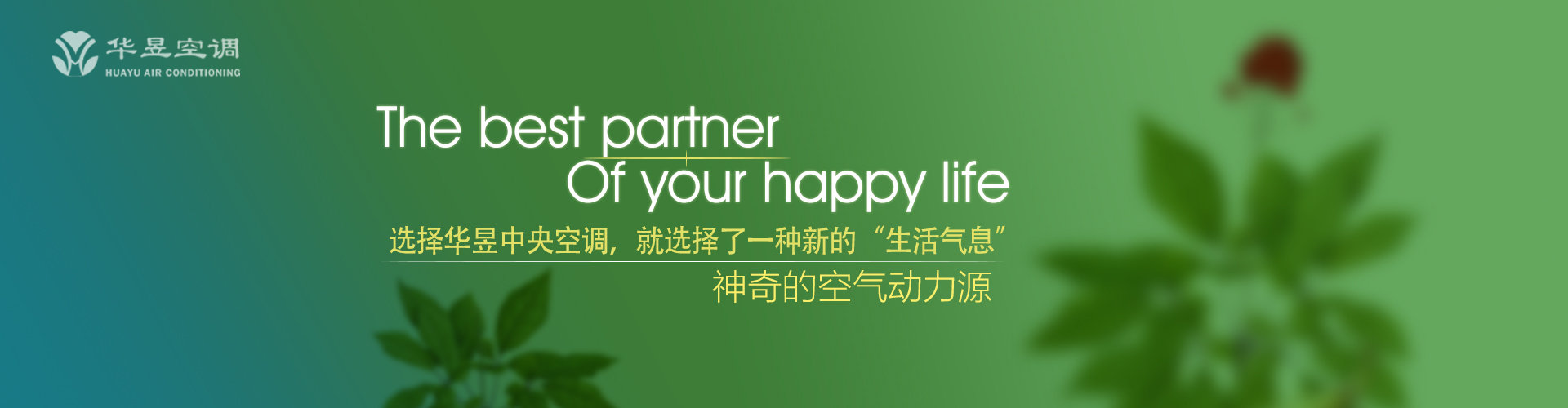 南风不竞网
